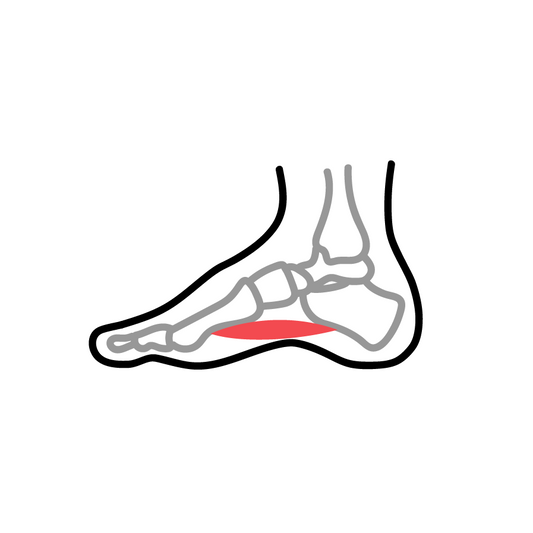 Strengthening the foot muscles and barefoot shoes