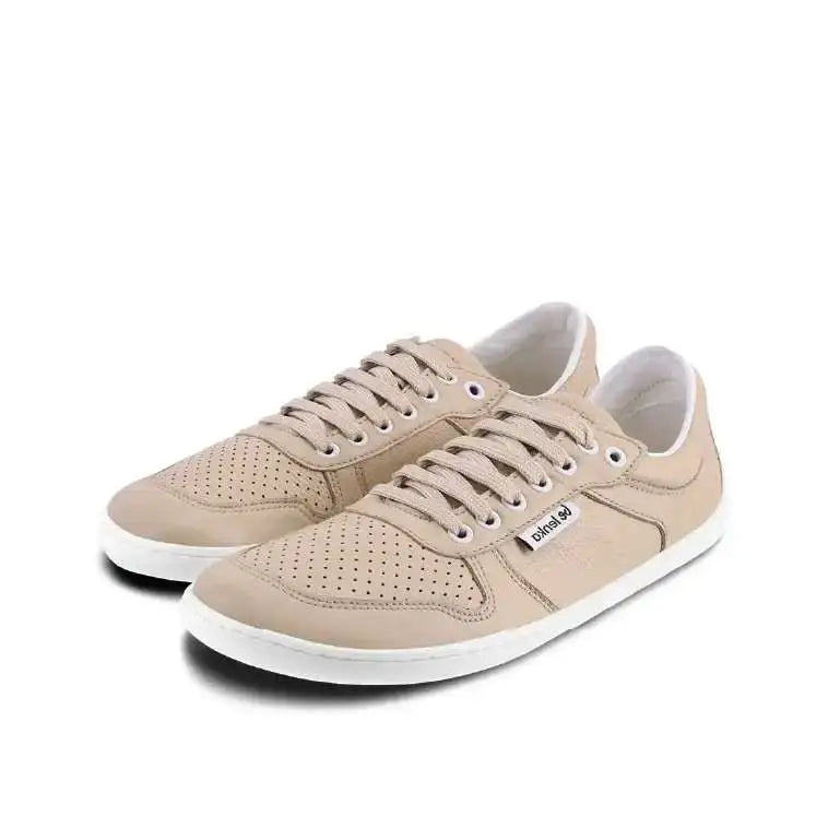 CHAMP Cappuccino - CHAMP