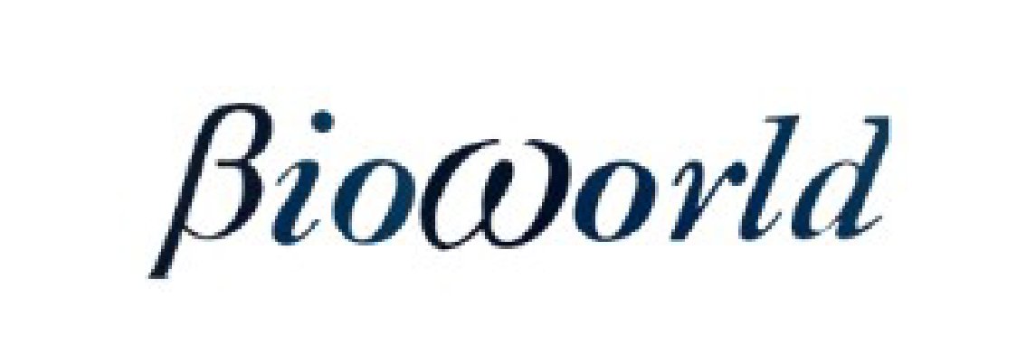 Barefoot shoes by BioWorld on a light background. Premium handmade footwear.