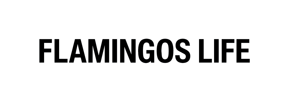 Flamingos’ Life